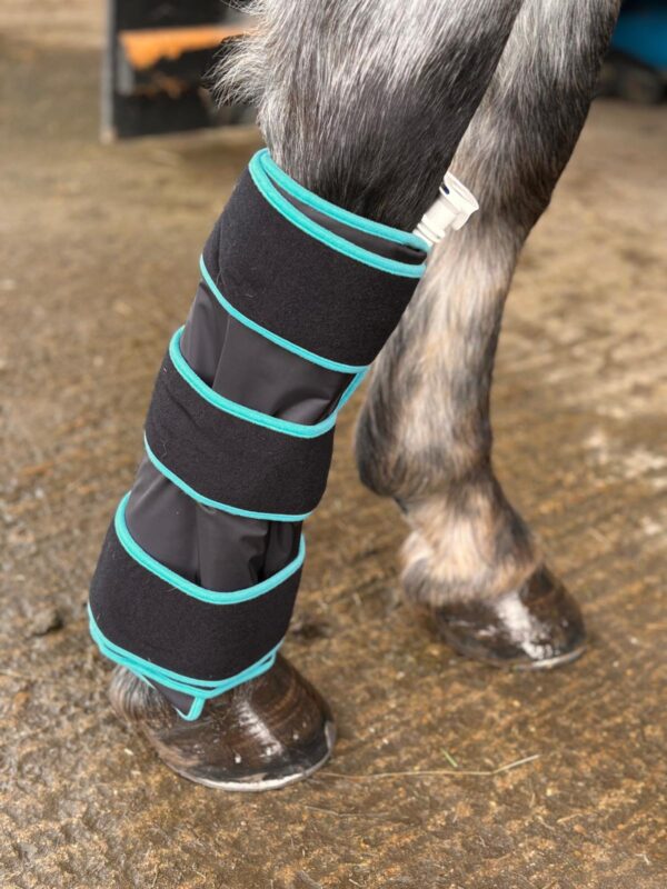 Equine tendon wrap for cryotherapy machine.
