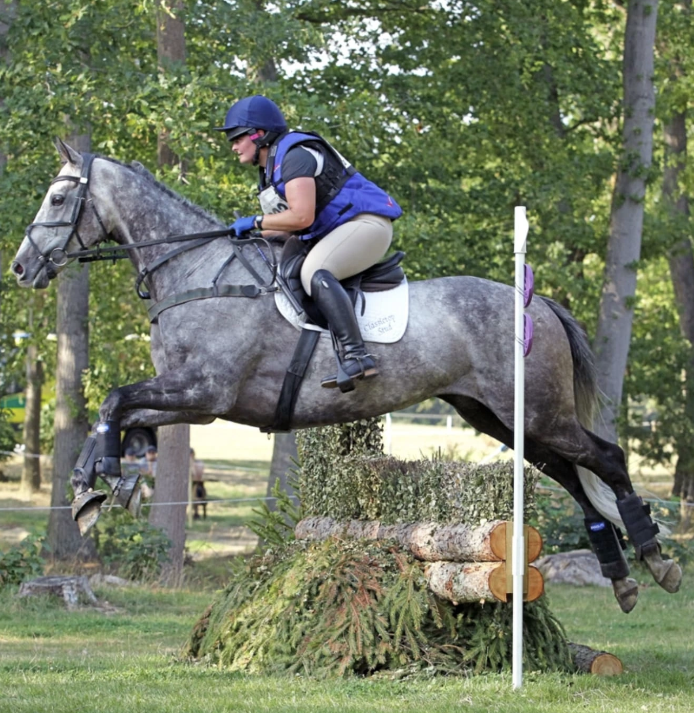 Ex-racehorse Robbie Williams, Now Event Horse