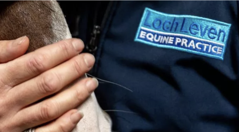 Loch Leven Equine Practice