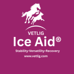 VETLIG-9