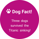 dogfacttitanic